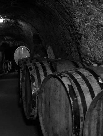Domaine des Roches Neuves