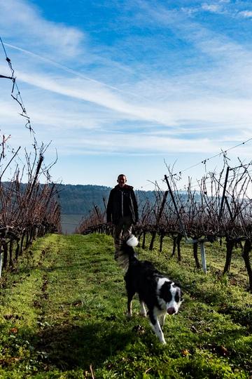 Domaine Boris Champy