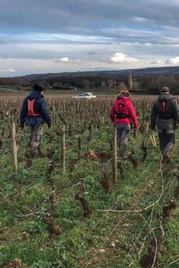 Domaine Jessiaume