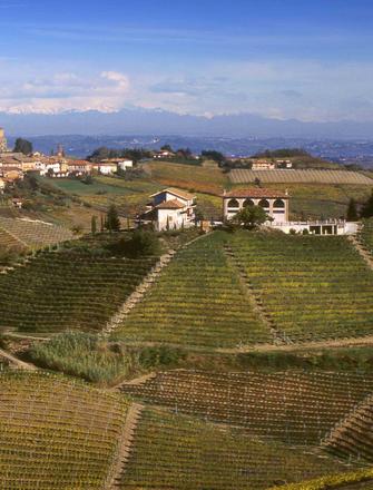 Bruno Giacosa