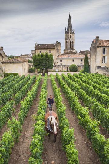 Château Canon