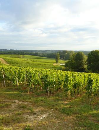 Château Valandraud