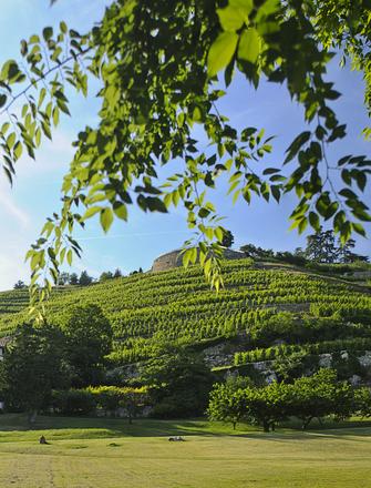 Domaine Georges Vernay