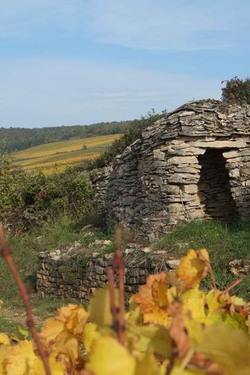 Domaine Hubert Lamy