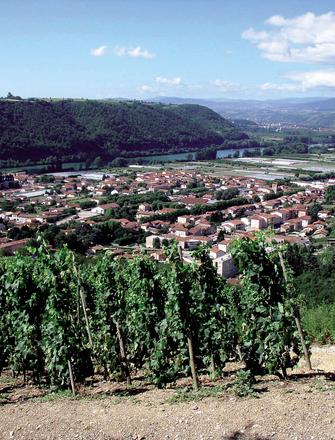 Domaine Jasmin