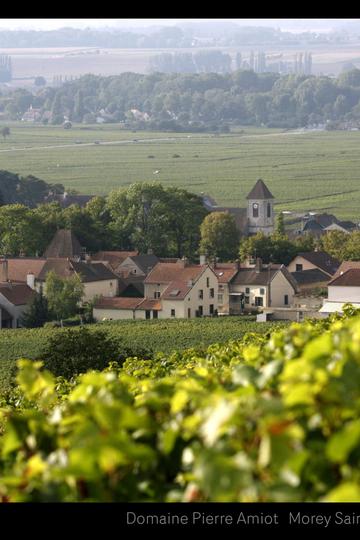 Domaine Pierre Amiot