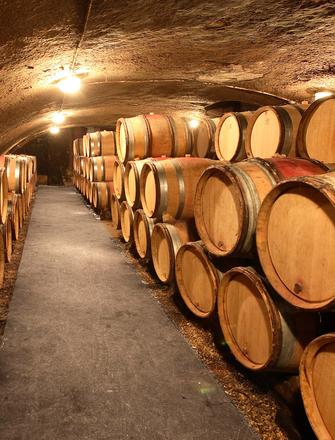 Domaine Thibault Liger-Belair