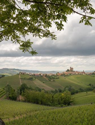 Rivetto