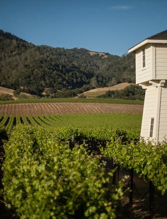 Silver Oak