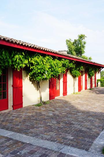 Château Haut-Bailly