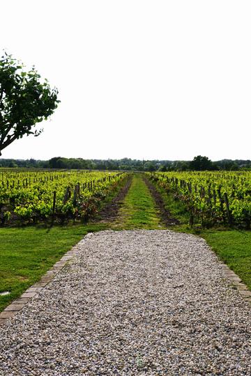 Château Haut-Bailly