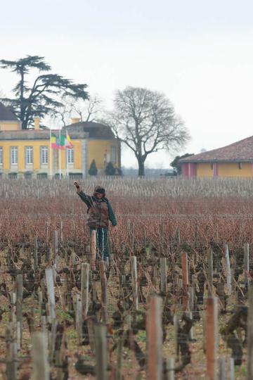 Château Lafon-Rochet