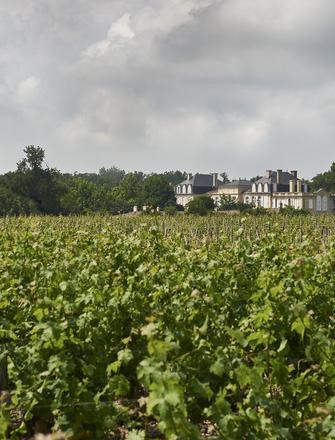 Château Léoville Barton