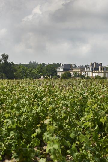 Château Léoville Barton