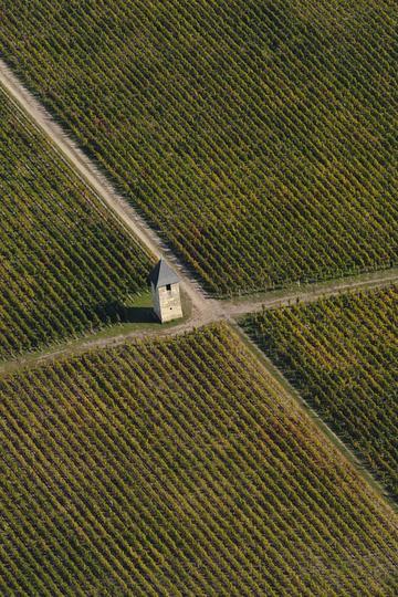 Château Pape Clément