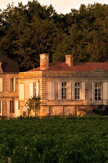 Château Picque Caillou