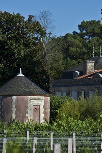 Château Picque Caillou