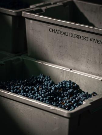 Château Durfort-Vivens