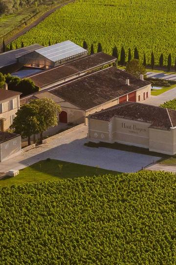 Château Haut-Bages Libéral