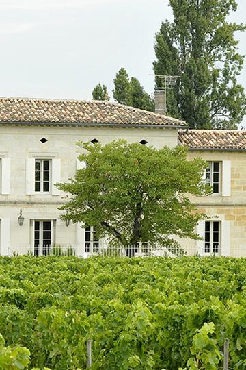 Château Grand Corbin-Despagne