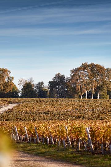 Château Pichon Baron