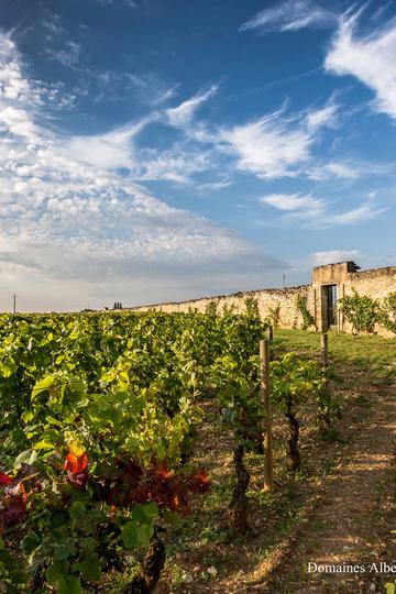 Domaine Albert Bichot