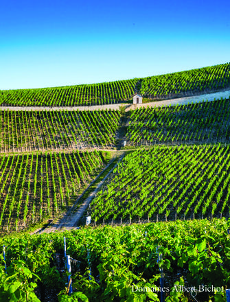 Domaine Albert Bichot