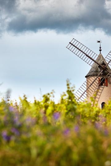 Domaine Labruyère