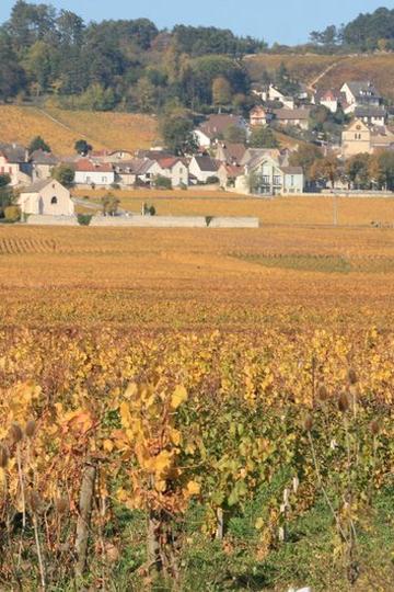 Domaine Jean-Marc & Thomas Bouley