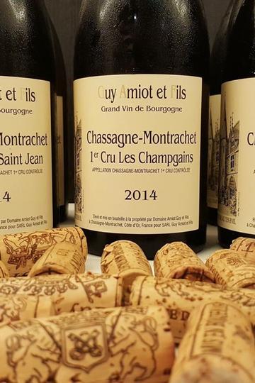 Domaine Amiot Guy & Fils