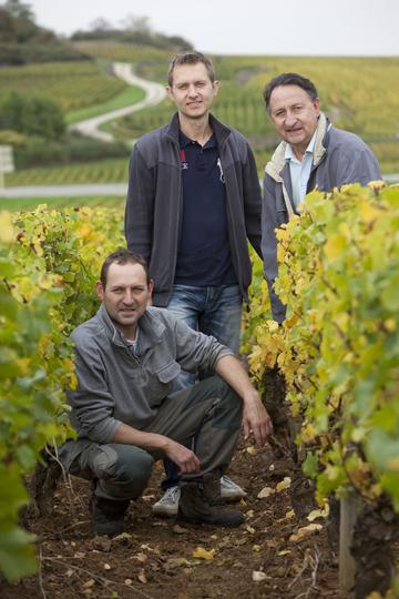 Domaine Amiot Guy & Fils