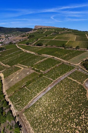 Domaine Olivier Merlin