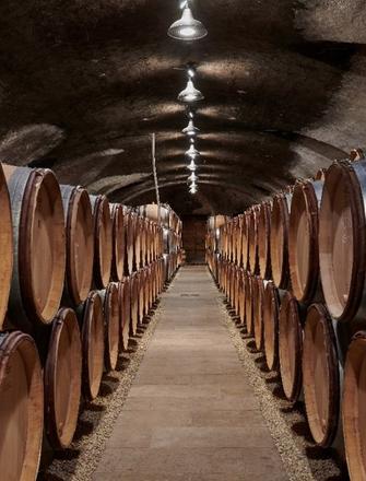 Domaine Olivier Merlin