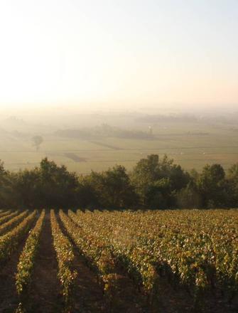 Domaine Pierre Morey