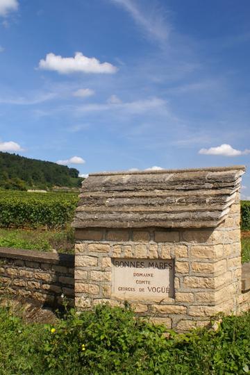 Domaine Comte Georges de Vogüé