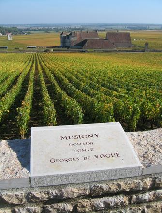 Domaine Comte Georges de Vogüé