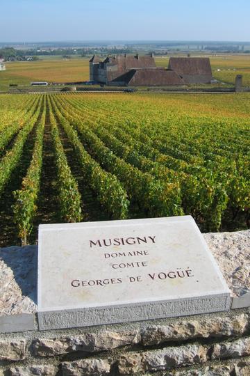 Domaine Comte Georges de Vogüé