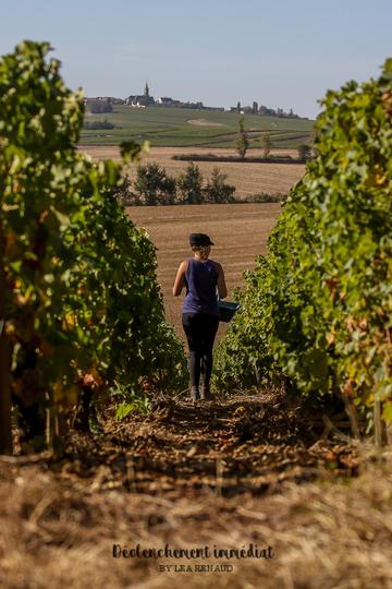 Domaine Didier Dagueneau