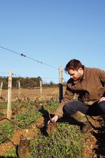 Domaine Pierre Girardin