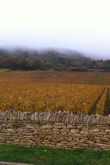 Domaine Jean-Claude Ramonet