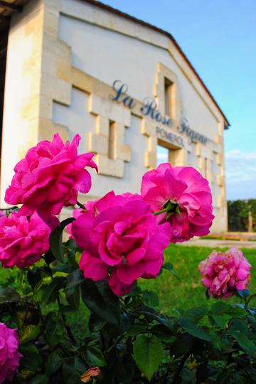 Château La Rose Figeac