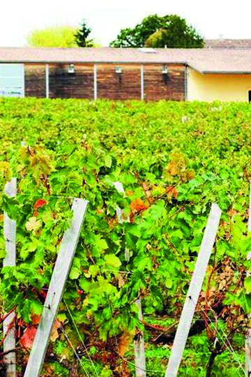 Clos de Boüard