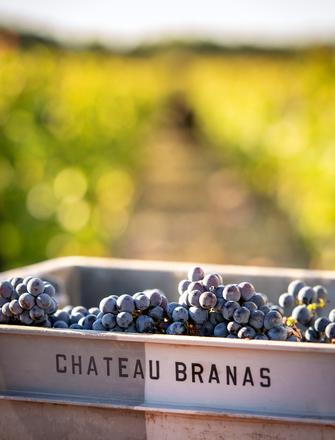 Château Branas Grand Poujeaux