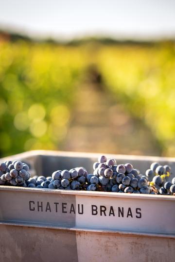 Château Branas Grand Poujeaux