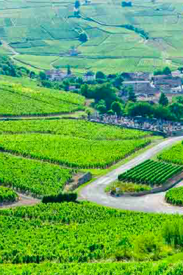 Domaine Nicolas Rossignol