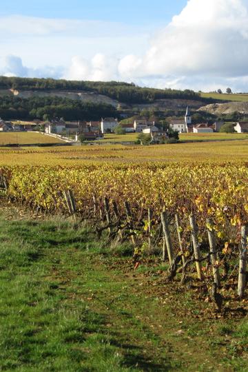 Château de la Maltroye