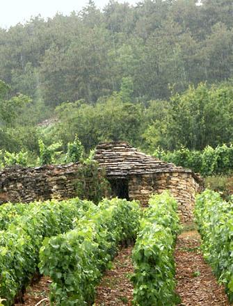 Domaine Bruno Colin