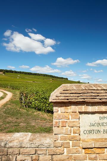 Domaine Jacques Prieur