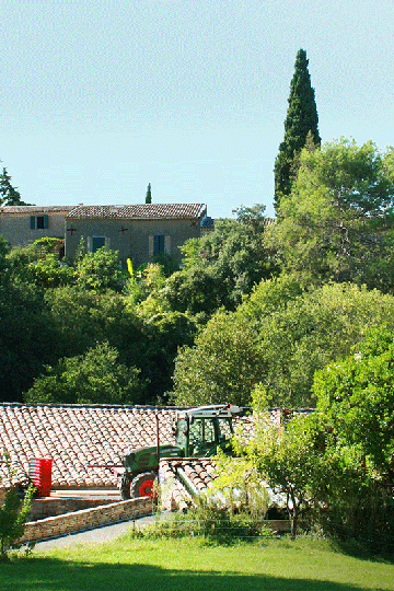 Domaine Mas de Daumas Gassac