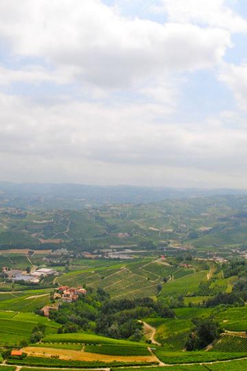 Marchesi di Barolo